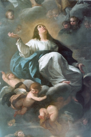 Assunzione della Vergine, G.Nuvolone